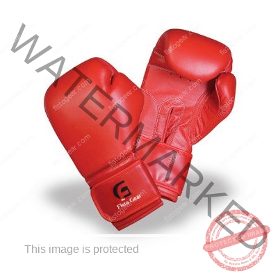 BOXING COMPETITION GLOVES WHOLESALE SUPPLIER STORE USA